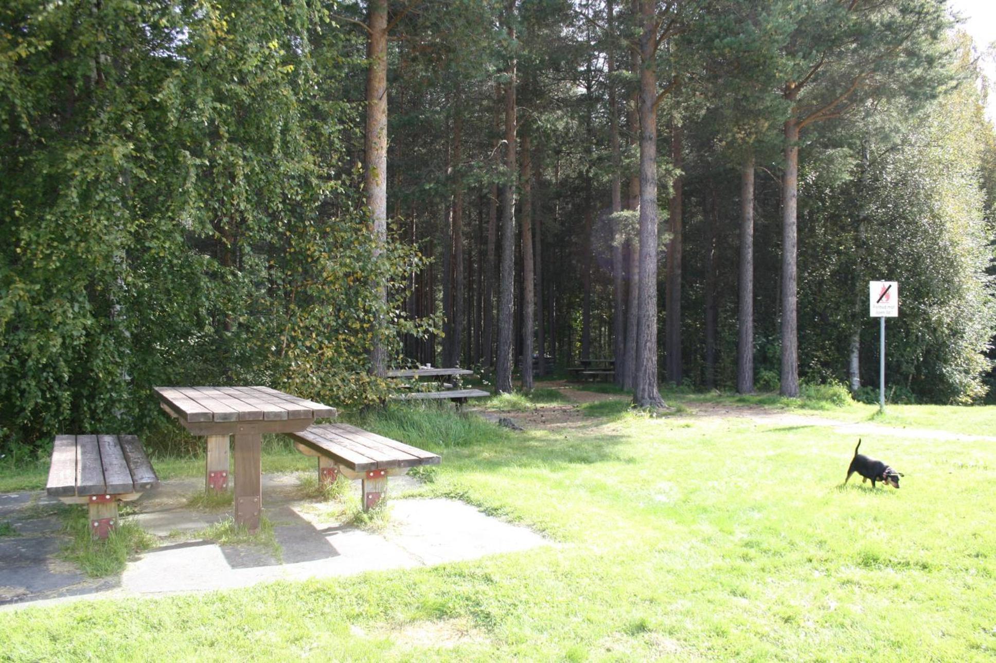 Dovreskogen Gjestegard As Extérieur photo