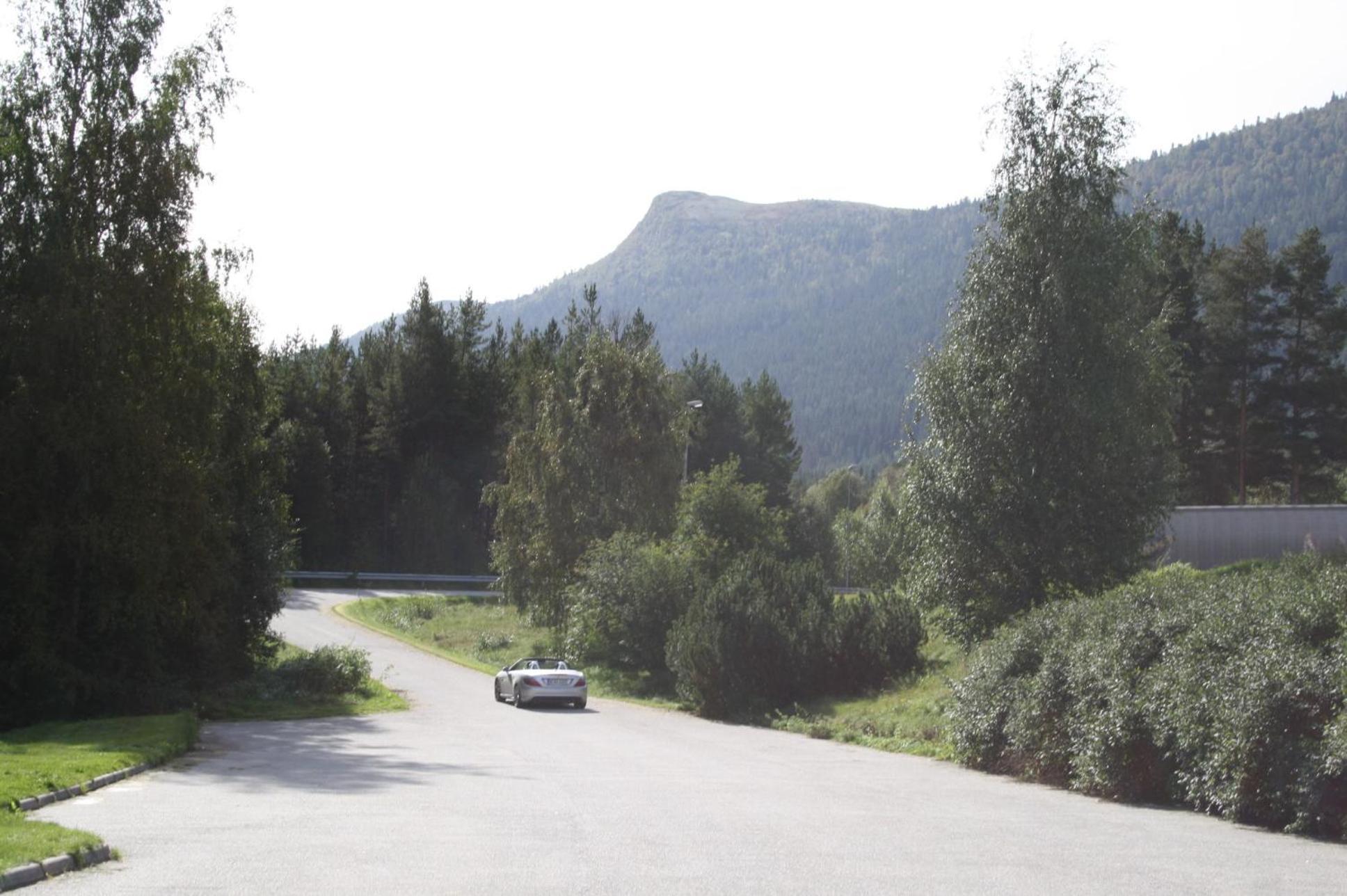Dovreskogen Gjestegard As Extérieur photo